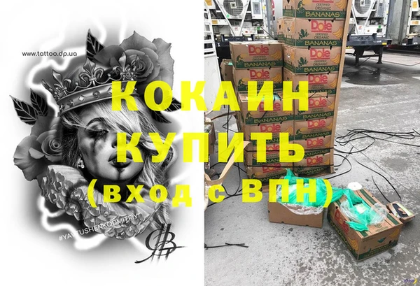 СК Новозыбков