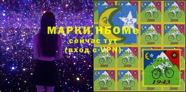 СК Новозыбков
