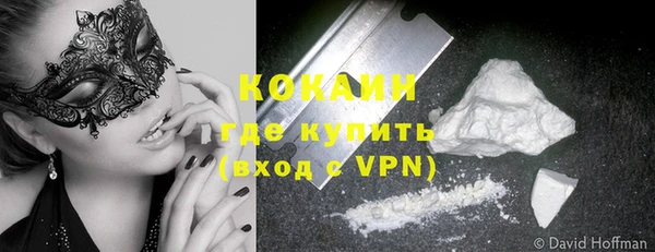 СК Новозыбков