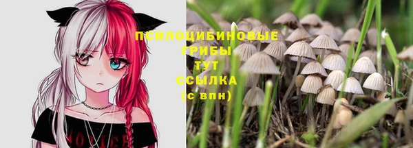 соль ск Нягань