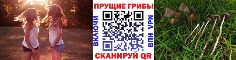 MEGA tor даркнет сайт Сатка Псилоцибиновые грибы ЛСД